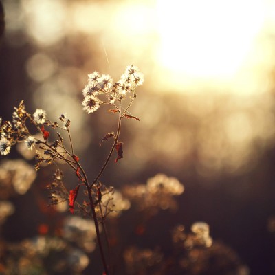 1920 x 1080 HD Wallpapers 212